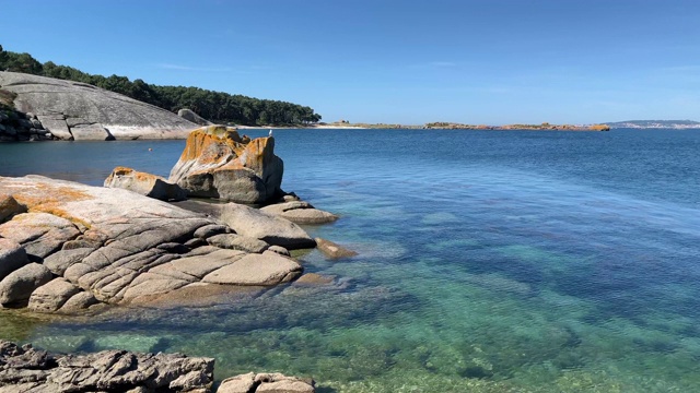 海鸥在岩石上，背景是大海和蓝天视频素材