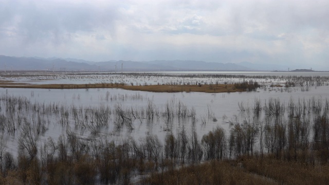 北京延庆野鸭湖湿地公园视频素材