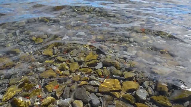 奥赫里德湖清澈的湖水和一艘游船在地平线上视频下载