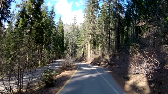 驾车沿着蜿蜒的道路前往红杉国家公园视频素材