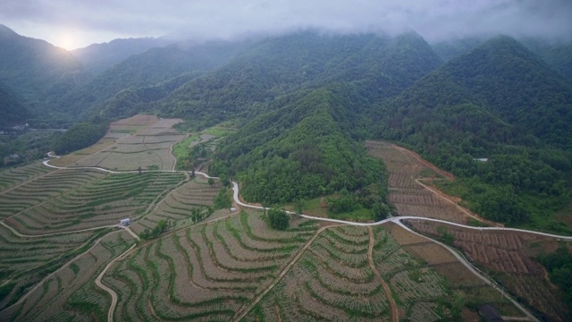 中国安康日出时农田和山路鸟瞰图。视频素材