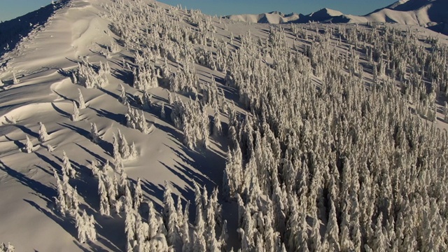 无人机拍摄的雪域森林和冬季山地景观视频素材