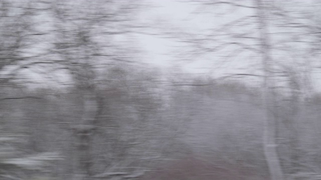 冬季驾驶-驾驶通过雪景的乡村景观从侧窗视频素材