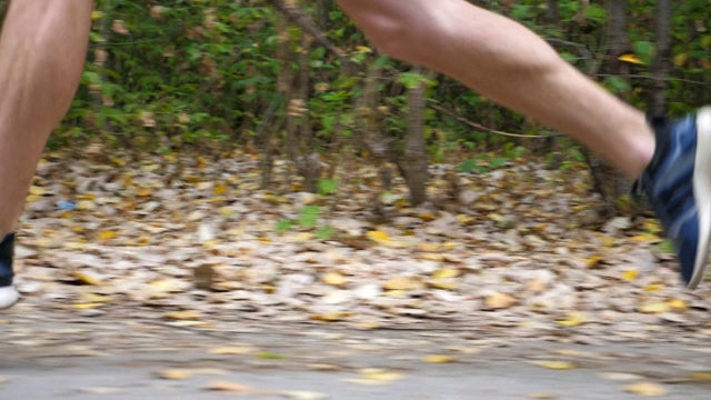 初秋，年轻运动员的双腿在森林附近的道路上奔跑。男脚的运动男子在自然沿着小道快速短跑。强壮的家伙在户外慢跑。健康积极的生活方式。低的观点视频素材