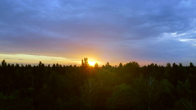 在夕阳背景下的树林上空飞行视频素材