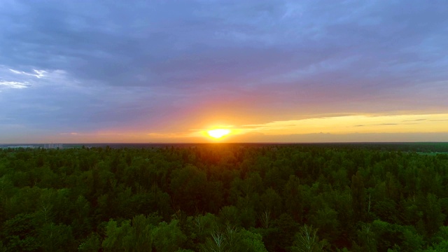 在明亮的夕阳背景下飞过树林视频素材