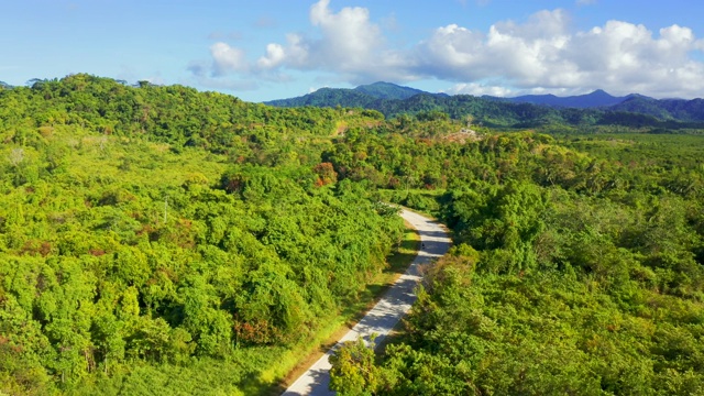 热带岛屿上的椰子树和公路视频素材