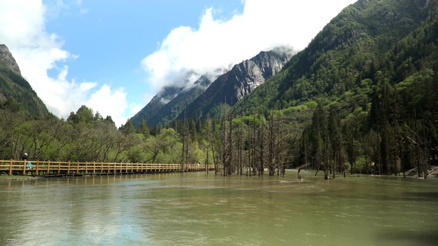 平景:在中国四川省四姑娘山国家公园的常平沟或常平沟徒步旅行时，可以看到美丽的自然景观视频素材