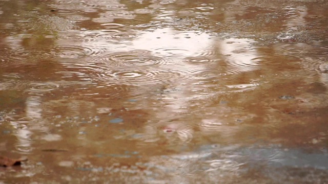 雨滴落在地上视频素材