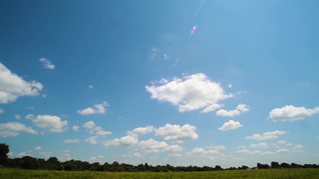 夏日阳光明媚的麦田。麦田和天空的夏季景观。视频素材