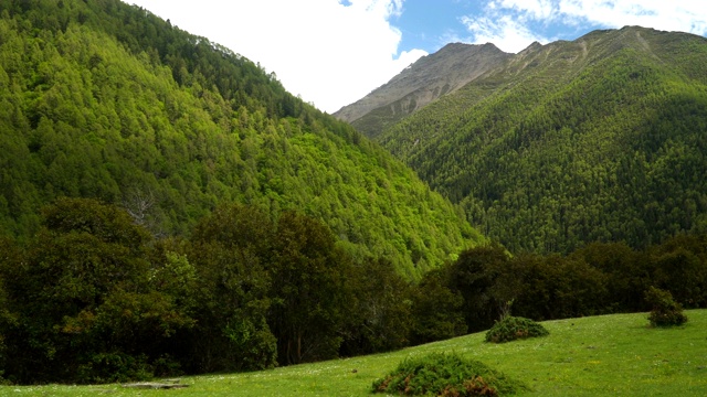 手持低角度视角:徒步在海子谷的四姑娘山的风景视频素材