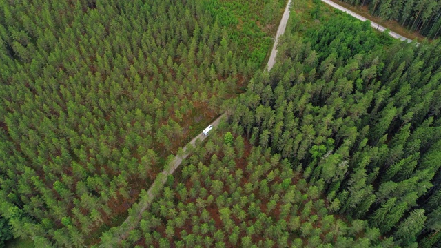 航拍:无人机拍摄的树林中的道路-瑞典斯马兰视频素材