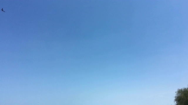 摄影师在热带岛屿工作视频素材画面2