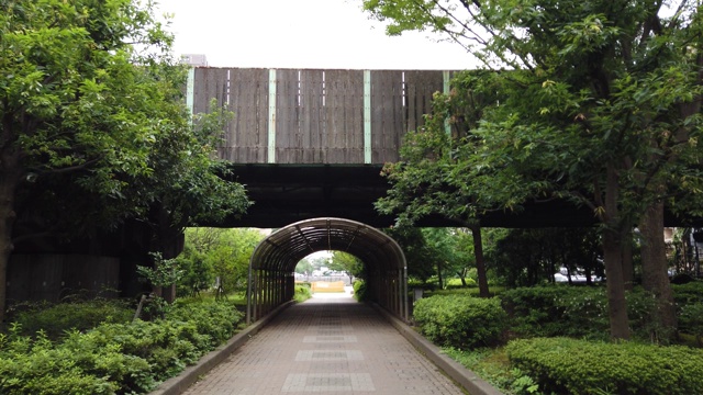 公园在日本视频素材画面2