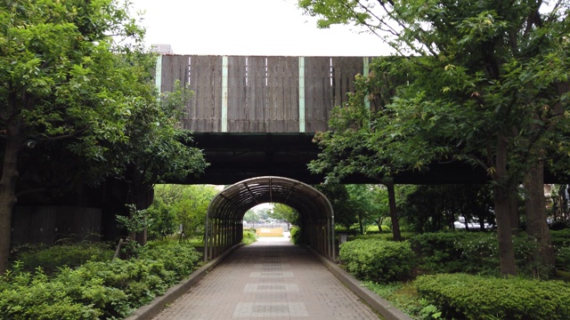 公园在日本视频素材画面3