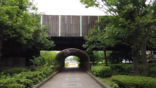 公园在日本视频素材画面4