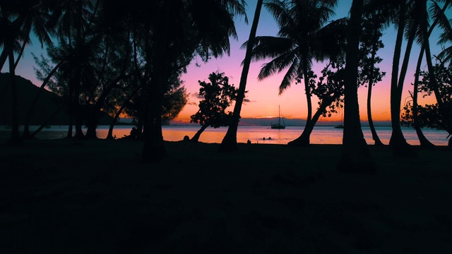 夕阳在天堂岛的棕榈树之间。完美的浪漫和放松假期和旅游在太平洋。旅行热带概念-鸟瞰无人机- 4K视频素材