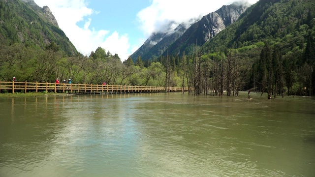 倾斜景观:在中国四川省四姑娘山国家公园的昌平沟或昌平沟徒步旅行时，可以看到美丽的自然景观视频素材