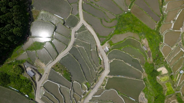 日本稻田上空。视频素材