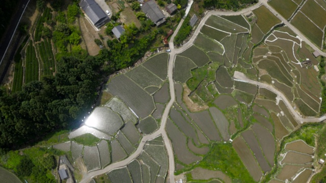 日本稻田上空。视频素材