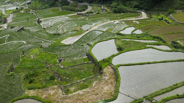 日本稻田上空的空中航迹。视频素材