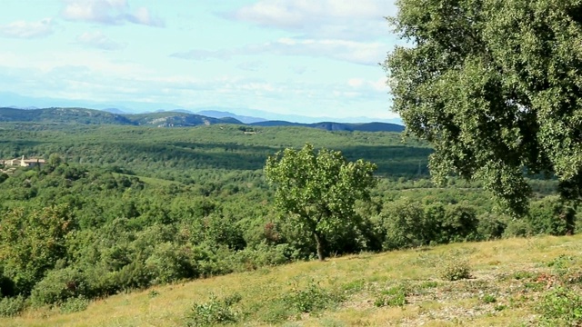 Garrigues in the Gard。D 'occitanie。法国。视频素材