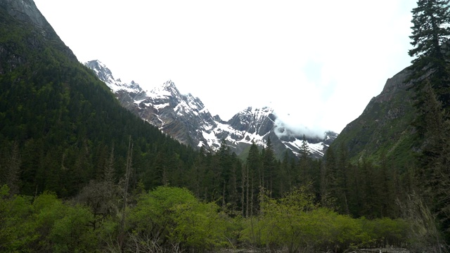 手持式低角度平移视图:四姑娘山徒步在昌平沟山谷或昌平山谷之一，中国视频素材