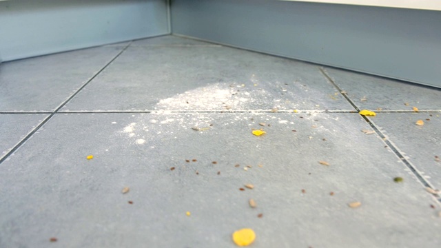 用吸尘器把厨房地板弄脏了，地板上撒满了灰色的瓷砖和玉米片和面粉。视频素材画面1
