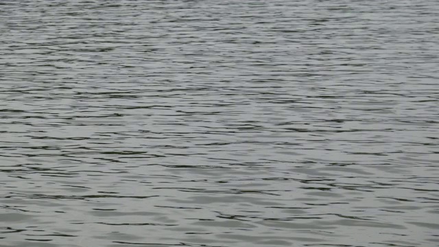 湖面上风平浪静视频素材