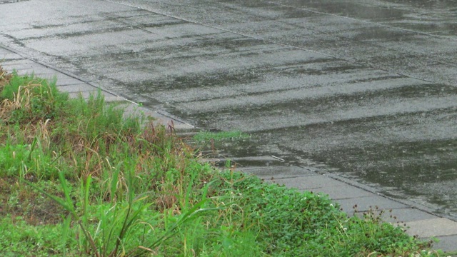 大雨落在路上视频素材