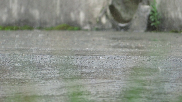 大雨落在路上视频素材