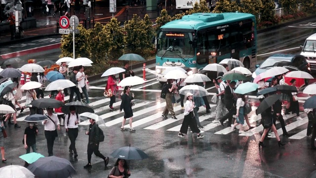 东京涩谷渡口视频素材