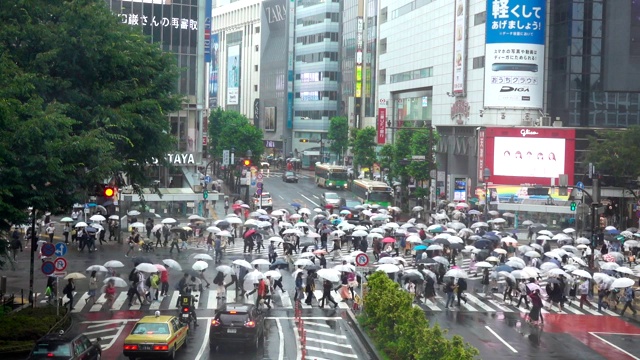 东京涩谷渡口视频素材