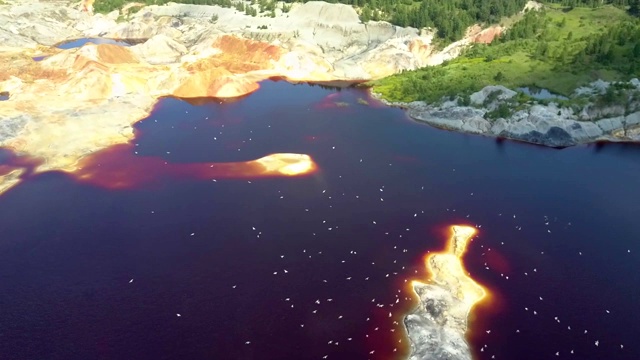 鸟儿飞过碧水碧水的泥坑湖视频素材画面2