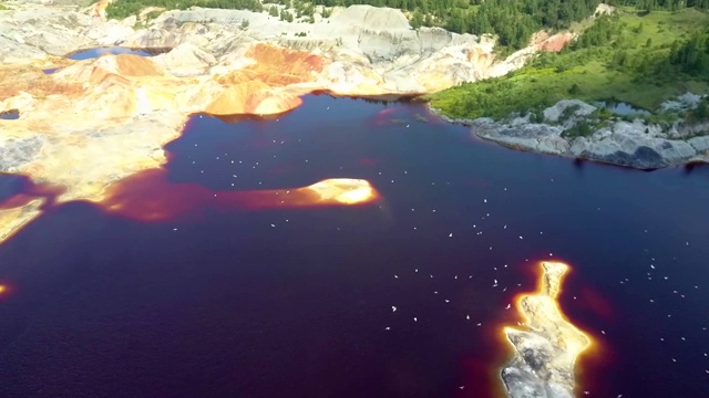 鸟儿飞过碧水碧水的泥坑湖视频素材画面3