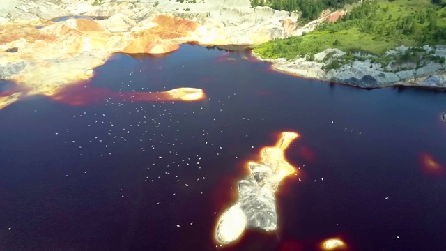 鸟儿飞过碧水碧水的泥坑湖视频素材画面4