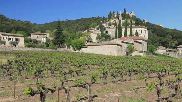 小山顶村拉Roque-sur-Cèze。Occitanie。法国视频素材