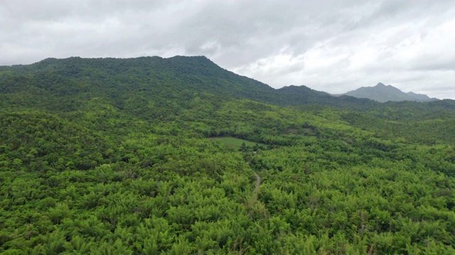 鸟瞰泰国北碧区热带森林的树木在夏季在国家公园和山或小山。自然景观背景。视频素材