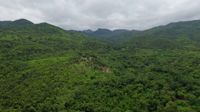 鸟瞰泰国北碧区热带森林的树木在夏季在国家公园和山或小山。自然景观背景。视频素材