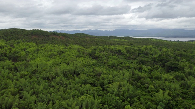 鸟瞰泰国北碧区热带森林的树木在夏季在国家公园和山或小山。自然景观背景。视频素材