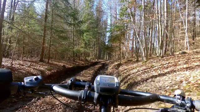 在阳光明媚的冬季森林里骑山地自行车视频素材