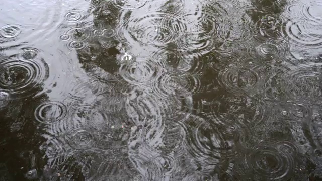 在表面水在水坑中涌现建立和气泡从雨滴。阴沉沉的秋日，城里下着雨。关闭了。前视图。4 k。视频素材