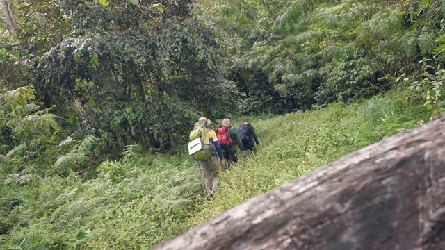 组团徒步旅行者背着背包在山林中徒步旅行，后视镜。视频素材