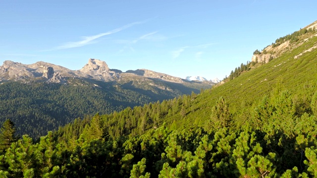 欧洲意大利白云岩地区的托凡群，松树和云杉林及高山山峰视频素材