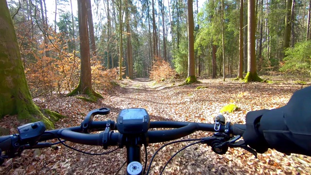 在阳光明媚的冬季森林里骑山地自行车视频素材