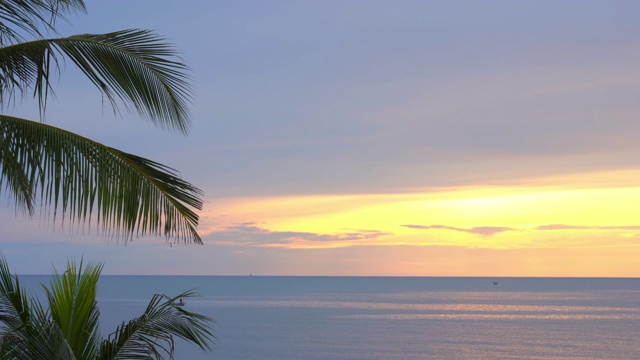 美丽的热带海滩和海洋与椰子树在日落或日出时间假日旅游视频素材