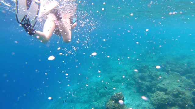 年轻女子浮潜在天堂般的海洋在马尔代夫视频素材