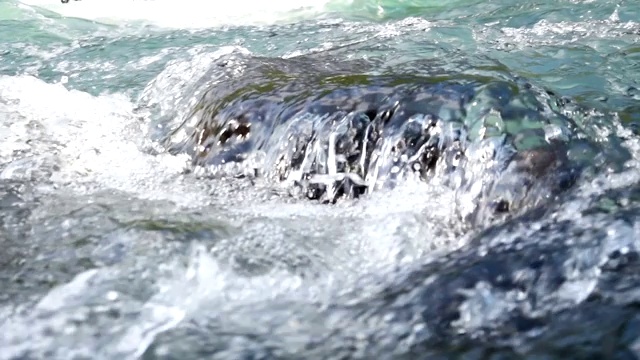 河水流动视频素材