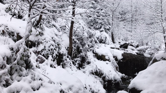 土耳其Rize Ayder高原，雪下岩石间的溪流。视频素材