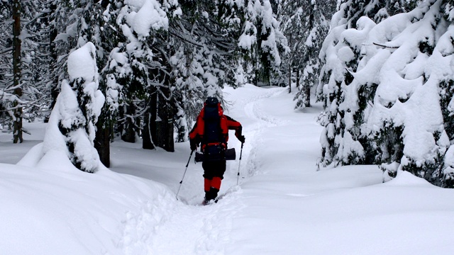 游客用登山杆打掉树枝上的雪视频下载